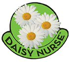 Daisy Nurses award Logo